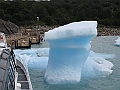 Patagonie 225